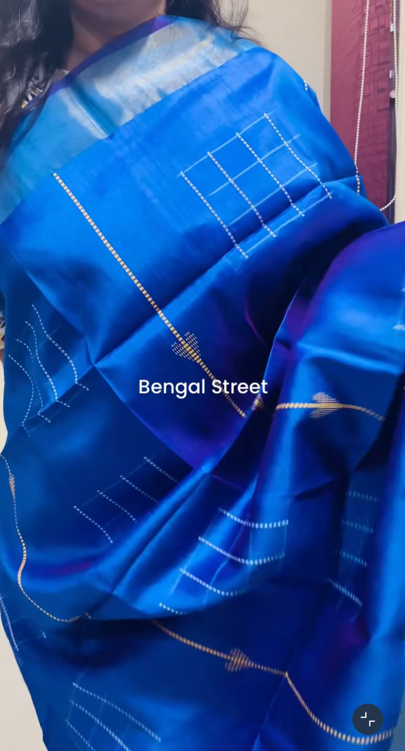 Pure Katan Silk Kalakhetra Saree - Blue