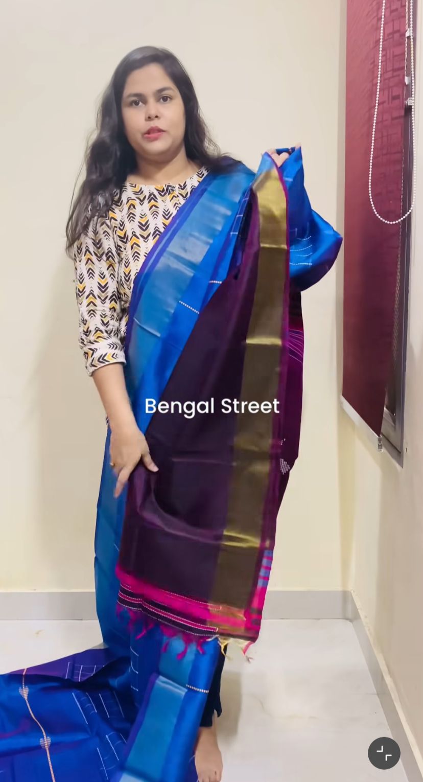 Pure Katan Silk Kalakhetra Saree - Blue