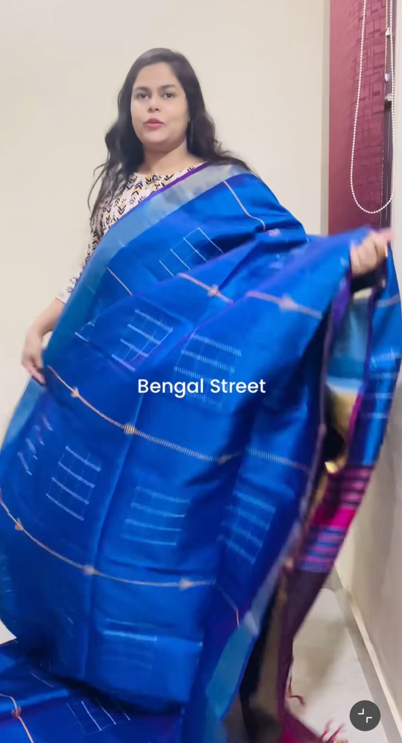 Pure Katan Silk Kalakhetra Saree - Blue
