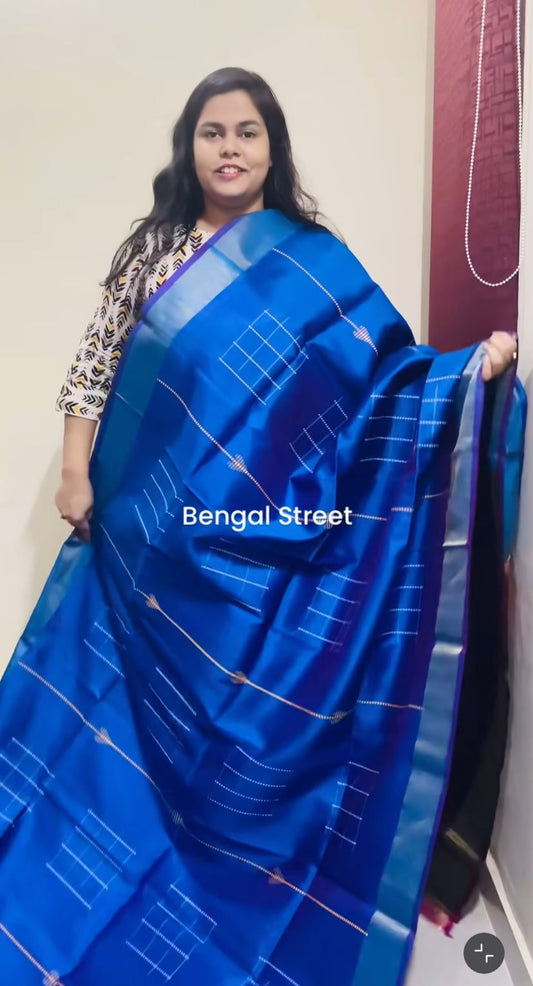 Pure Katan Silk Kalakhetra Saree - Blue