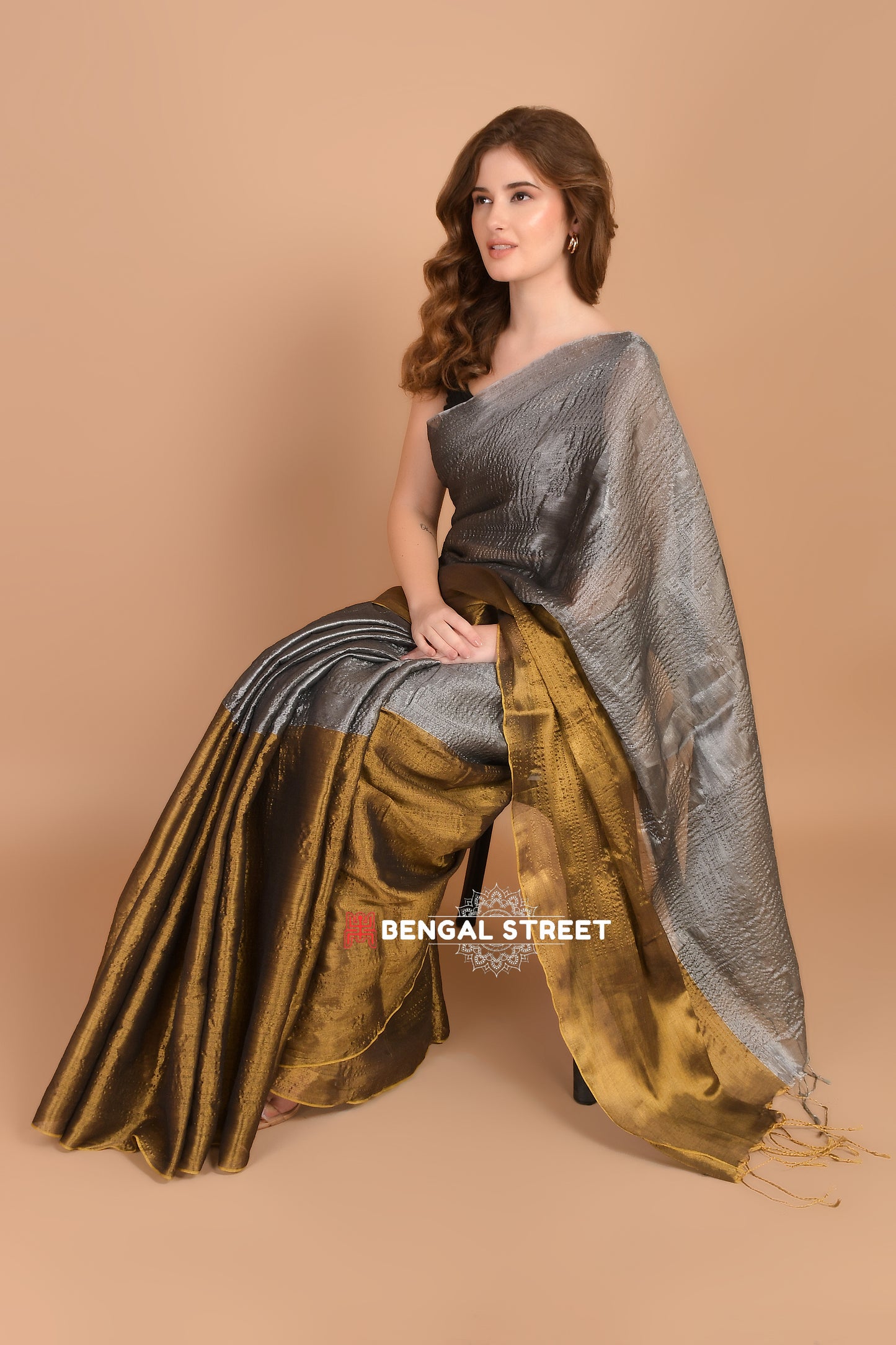 Half & Half Raga Tissue Saree: Gold & Silver