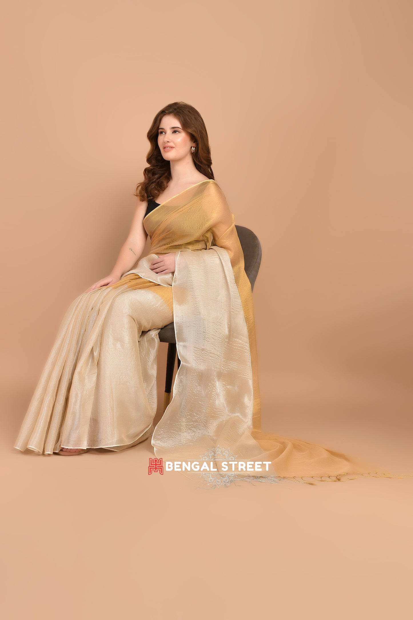 Half & Half Raga Tissue Saree: Gold & Beige