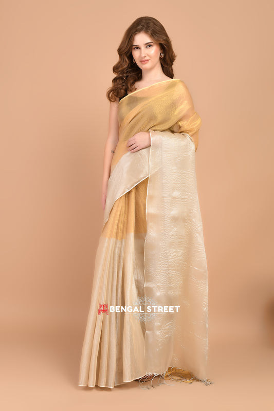 Half & Half Raga Tissue Saree: Gold & Beige