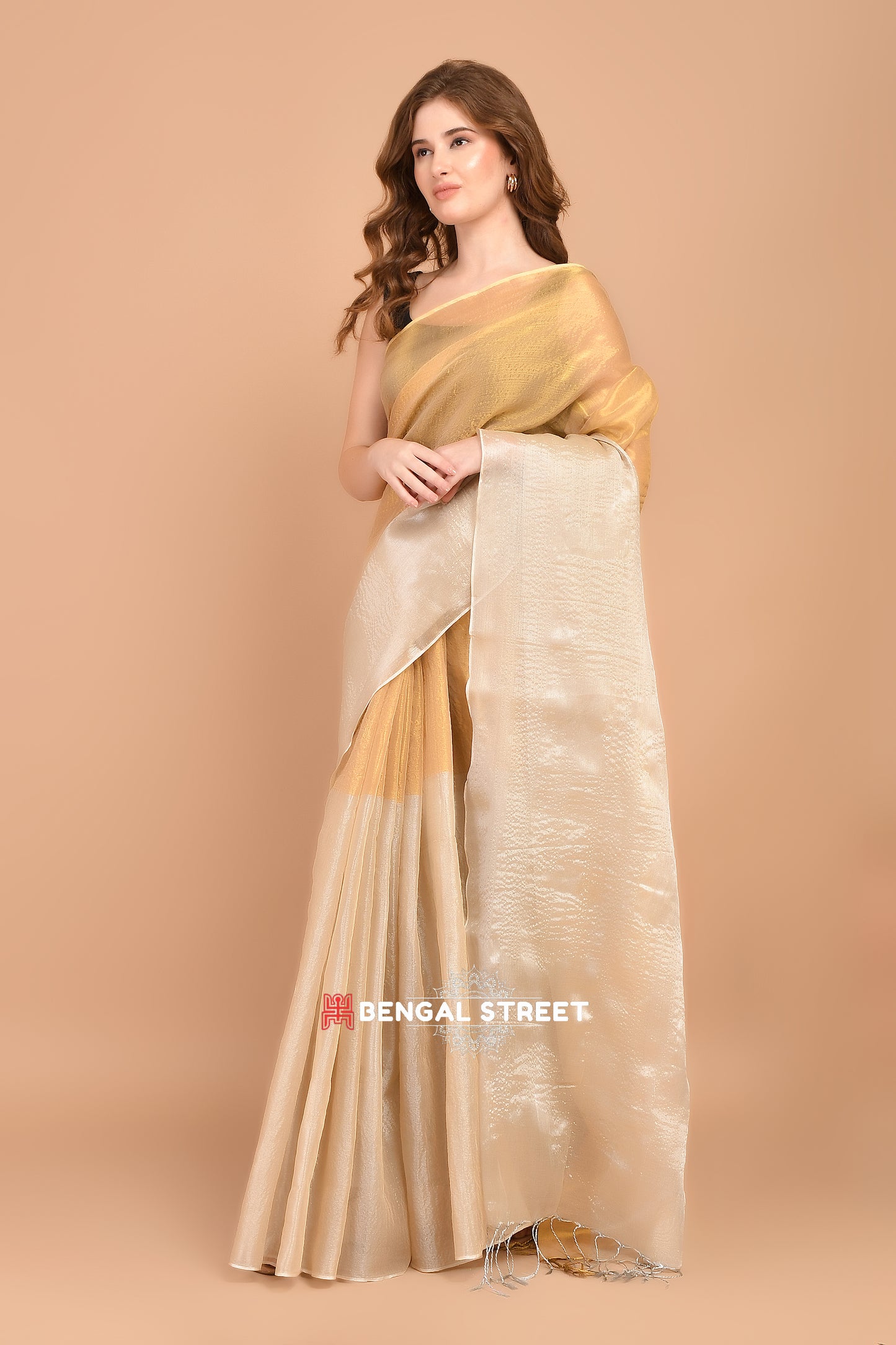 Half & Half Raga Tissue Saree: Gold & Beige